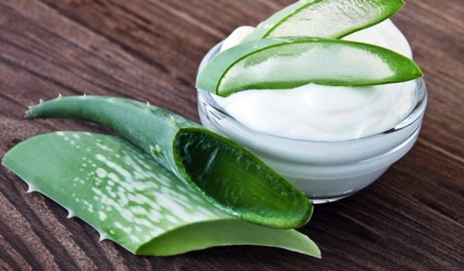 Aloe vera para el acné