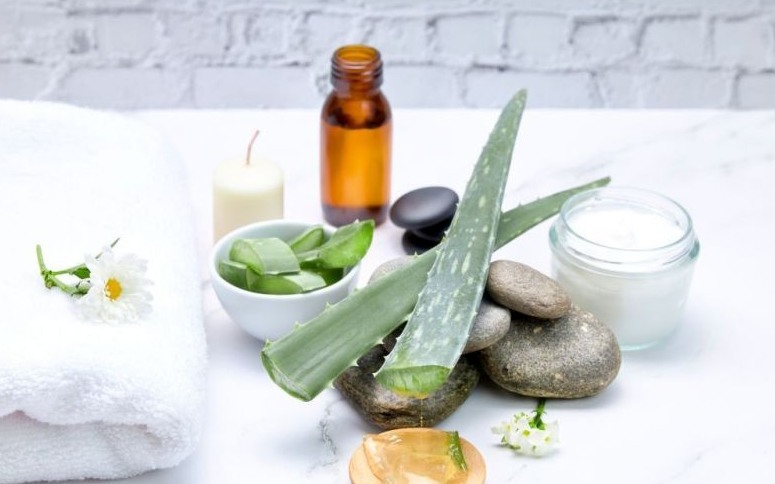 Útil y sencilla: Receta para hacer una crema de aloe vera -